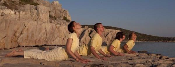 Yoga in Daily Life - The System